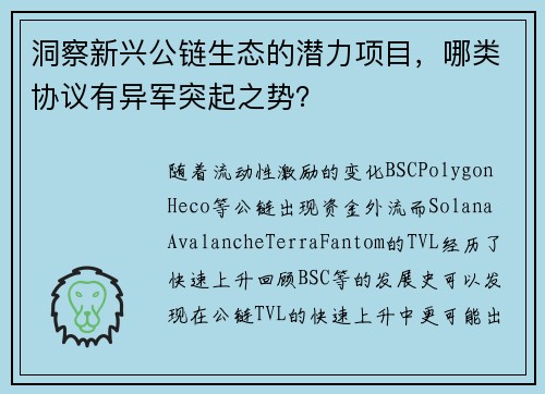 洞察新兴公链生态的潜力项目，哪类协议有异军突起之势？